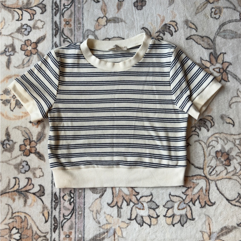 Knitted Stripped Crop Top